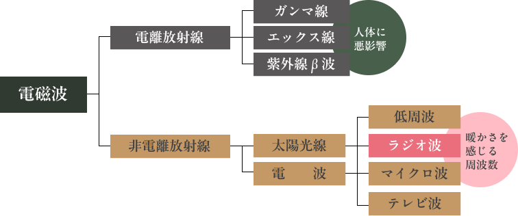 機能イメージ